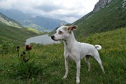 82 Al Passo Branchino con vista sul lago